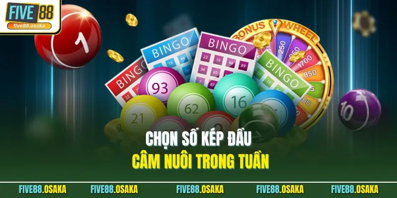 Nuôi Lô Kép Khung 5 Ngày Thắng Lớn Five88 Với 3 Mẹo 3 Chọn số kép đầu câm nuôi trong tuần